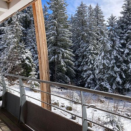 Studio Chamrousse 1700 Pour 4 Personnes - Au Calme - Avec Wifi Eksteriør bilde