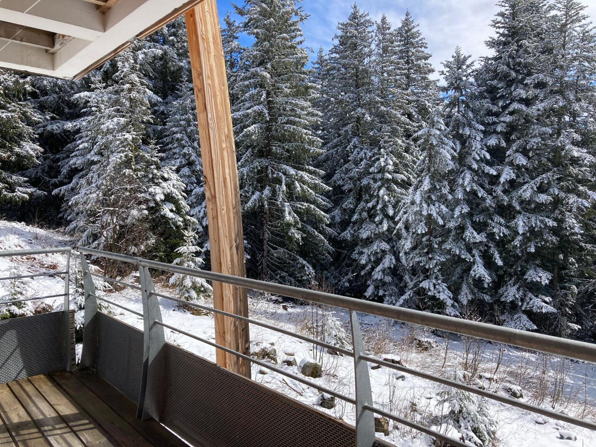 Studio Chamrousse 1700 Pour 4 Personnes - Au Calme - Avec Wifi Eksteriør bilde